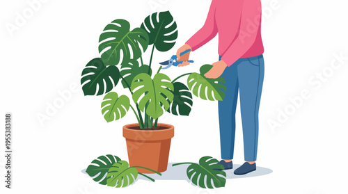 This image shows an individual carefully pruning a Monstera plant, symbolizing the nurturing care needed for houseplants to thrive in a home or garden environment.