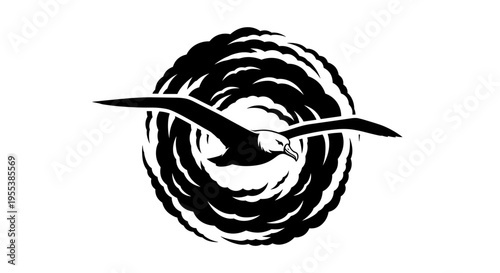 Seagull in Flight Circle.