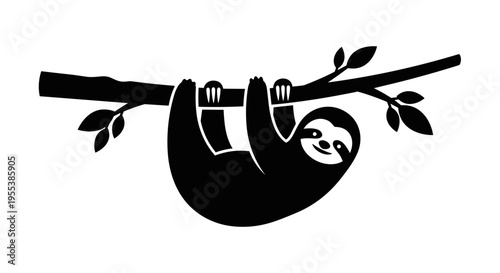 Sloth Hanging from Tree Branch.