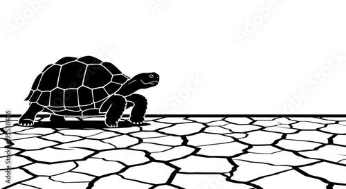 Tortoise on dry cracked earth.
