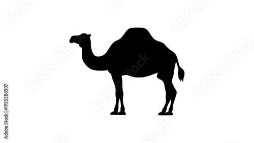 Camel Animal Silhouette Icon