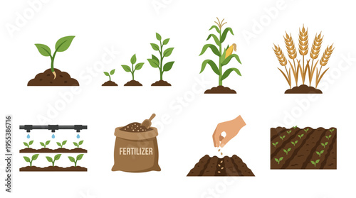 Vector graphics of various plants and agricultural activities in a farm setting with people planting and fertilizing crops.