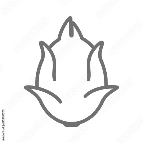 ドラゴンフルーツの線画シンプルイラスト