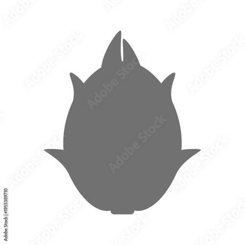 ドラゴンフルーツのシンプルな白黒フラットイラスト