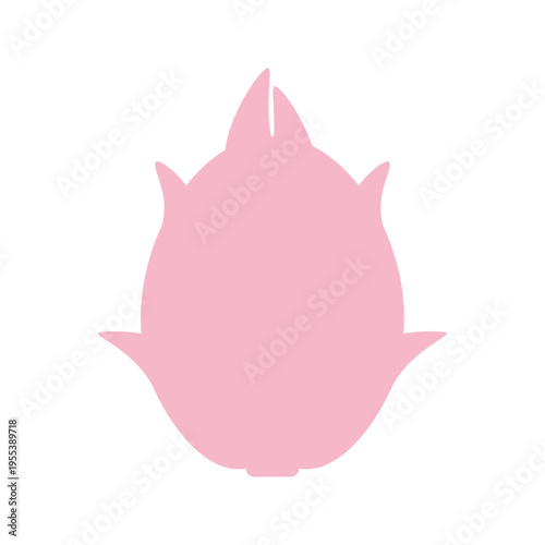 ドラゴンフルーツのシンプルなカラーイラスト