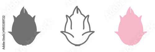 ドラゴンフルーツのイラストセット 白黒 線画 カラー