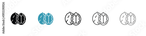 Walnut icon in line art style on white background for graphic and web design.
