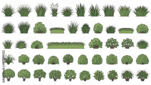 Various green plants and trees arranged in rows on a white background for illustration purposes