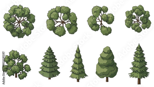 Various green trees and pine trees are illustrated on a white background