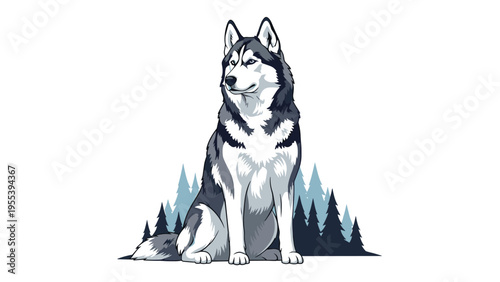 Portrait of a proud siberian husky dog sitting in front of a dark blue pine tree forest silhouette nature background.