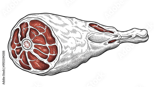 Detailed illustration of a large raw meat joint with bone showing marbling and texture for food and culinary design.