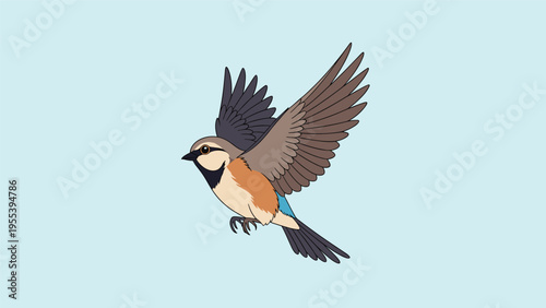 Beautiful small bird with brown and orange plumage captured in full flight with its wings spread against a blue sky.