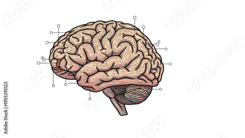 Anatomical drawing of a human brain features various mapping pins indicating different functional areas for medical and scientific study.