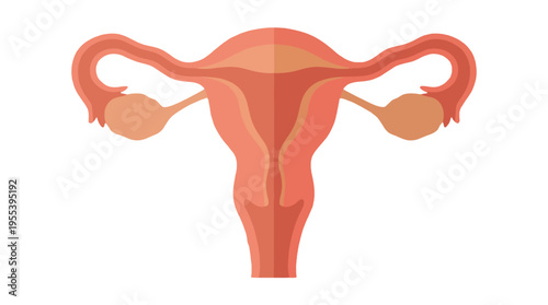 A detailed illustration of the female reproductive system, showcasing uterus and ovaries, designed to provide essential knowledge about human anatomy and reproductive health.