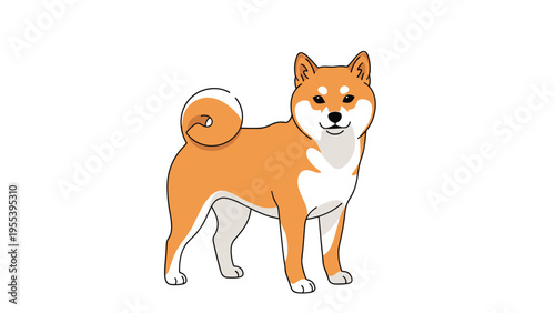 Small orange and white Shiba Inu dog stands in a side-profile view showing its curled tail and alert expression in a clean illustration.