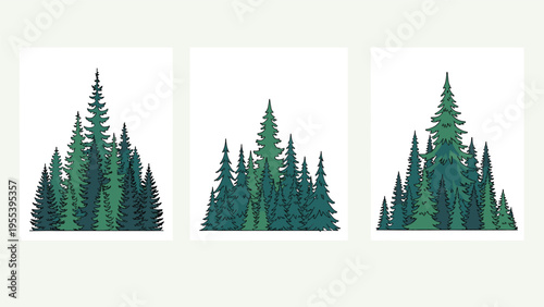 Three separate illustrations of dense pine forests show various clusters of tall evergreen trees in different shades of deep green.