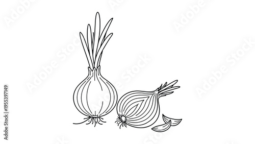 Onion Bulb with Slices – Minimal Line Art Vegetable Illustration