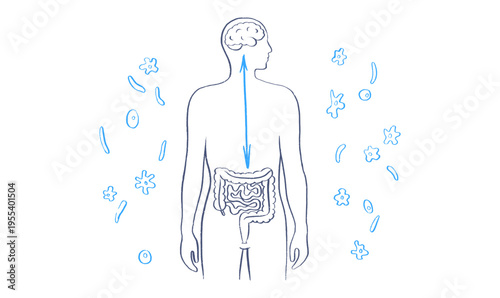 Gut Brain Connection