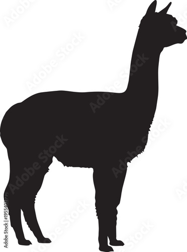 Llama Alpaca Silhouette Farm Animal Andean Mammal Standing Profile Wool Livestock Vector Illustration Black Shape Isolated Design Graphic.