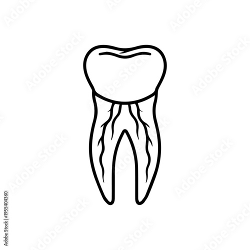 anatomical root of the tooth line icon, outline vector image
Vector line icon on a white background
Health, anatomy
