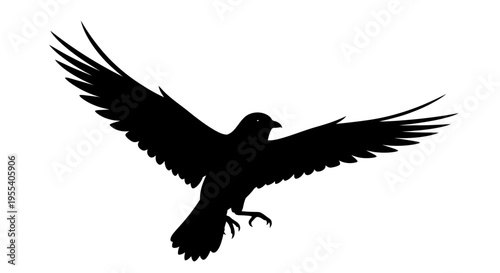 in flight with wings spread against a blue sky