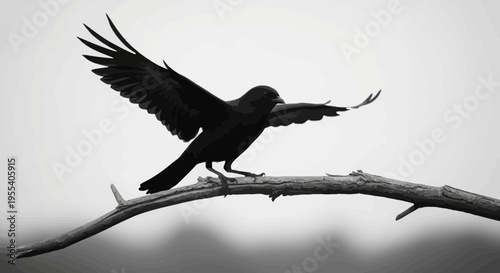 in flight with wings spread against a blue sky