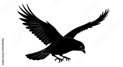 in flight with wings spread against a blue sky