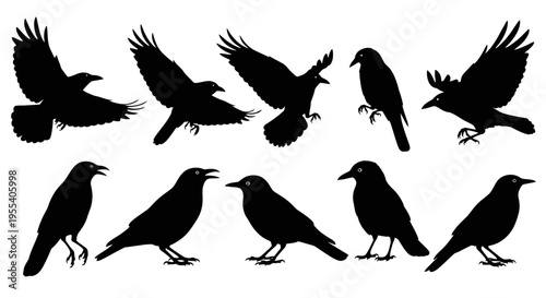 in flight with wings spread against a blue sky