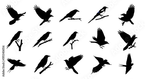 in flight with wings spread against a blue sky