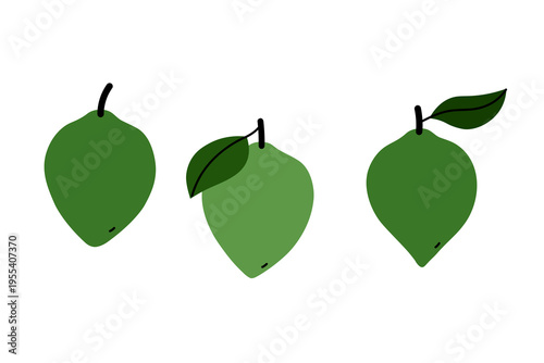 Green Lucuma fruit. Flat vector illustration on isolated background. Superfood, organic ingredient. Exotic whole fruits. Hand drawn organic healthy food icons. For packaging,  menu,  botanical design
