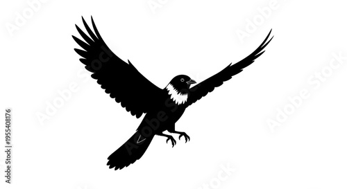 in flight with wings spread against a blue sky