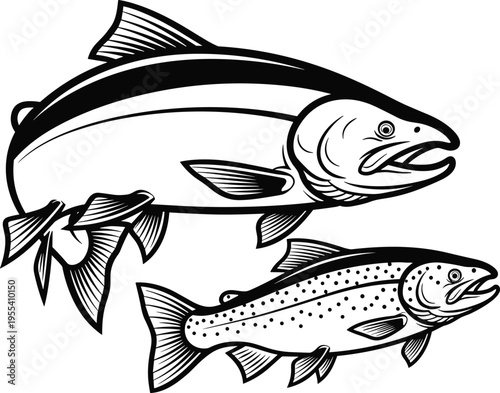 Salmon and Trout Fish Vector Illustration Set in Vintage Woodcut Style for Fishing Logos, Seafood Menus, Sporting Goods, and Outdoor Adventure Designs