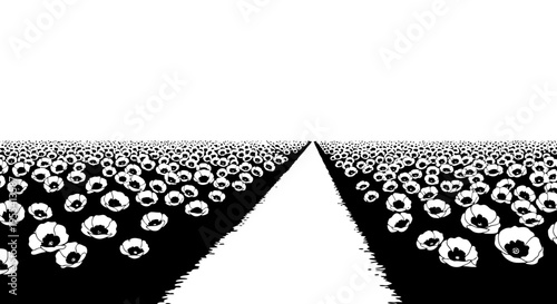 A white path cuts through a field of skulls, creating a stark and haunting visual contrast.