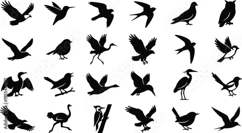 Comprehensive Black Bird Silhouette Icon Set Featuring Eagles Hummingbirds Owls Swallows Herons and Woodpeckers for Nature Wildlife and Graphic Design Projects