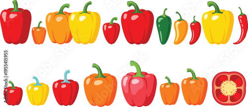 Bell Pepper Collection with Red Yellow Orange and Green Chili Varieties Sweet and Hot Capsicum Vegetables Set for Food Illustration