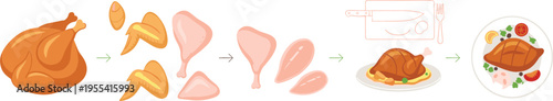 Chicken Meat Processing Infographic Showing Cutting Parts Cooking Steps and Serving Roast Poultry Dish for Food Preparation Illustration