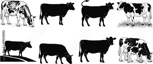 Cow Silhouettes and Farm Cattle Set with Grazing Standing and Feeding Poses Livestock Animals Collection for Agriculture and Dairy Illustration