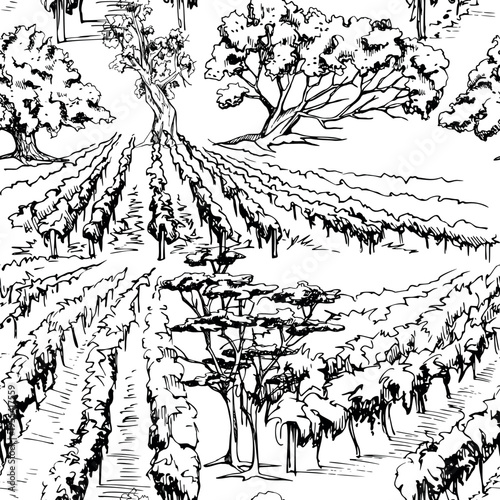 Wine region field landscape, scenic vista with grapevine rows, Mediterranean trees and plants. Hand drawn seamless pattern. Vector illustration in ink. Fabric prints, packaging, digital backgrounds.