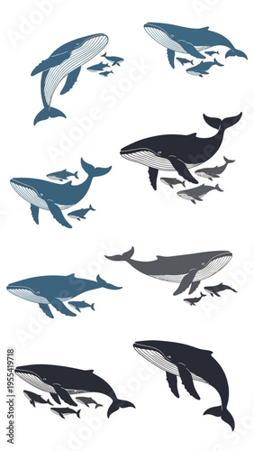 Collection of stylized whale illustrations showing diverse poses and smaller fish swimming