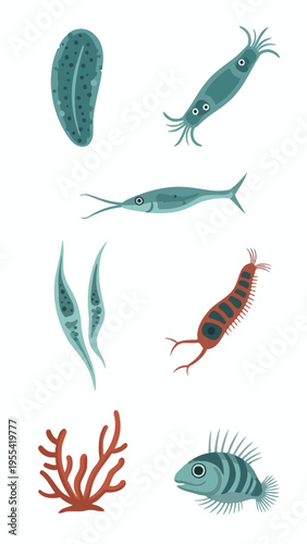 Collection of Various Microscopic Organisms and Aquatic Life Forms