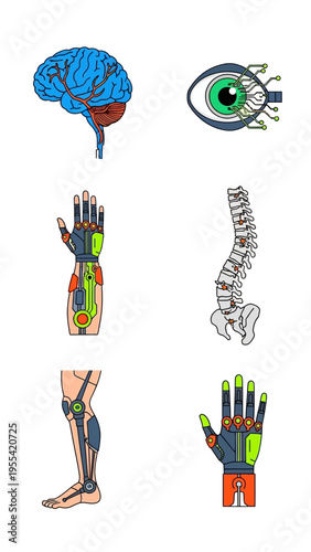 Futuristic cybernetic human anatomy illustrations showcasing technological integration in the body