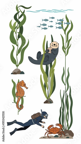 Playful sea otter enjoys underwater kelp forest exploration with diver and crab encounter