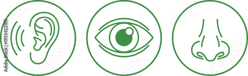 Human Senses Icon Set with Ear Eye and Nose Symbols, Sensory Organ Line Illustration for Medical Education, Healthcare Apps, and Anatomy Concept Graphics