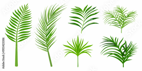 Collection of vibrant green palm leaves in various arrangements