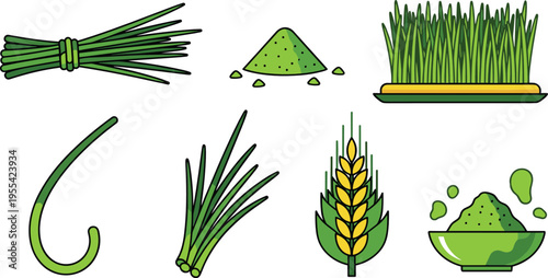 Green grass and wheat illustration set with lawn sprouts bundles powder and agricultural plant elements collection