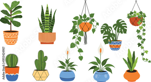 Indoor houseplants illustration set with potted plants hanging greenery cactus snake plant monstera and home decor botanical collection