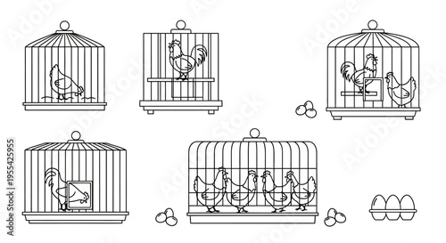 Birds in Various Cages.