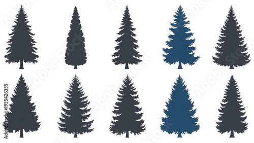 Eight pine trees silhouetted against a white background in forest landscape