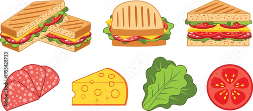 Sandwich and ingredients illustration set with grilled toast cheese salami lettuce tomato and fresh food elements collection