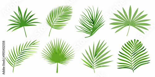 Collection of vibrant green palm leaves in various shapes and sizes